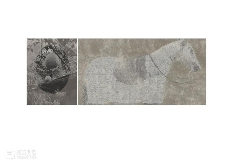 展覧现场|谭军《观沙岭》展览现场鉴赏 视频资讯 索卡艺术 崇真艺客